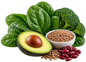 Cleanvex — Vitamina B9 (Ácido Fólico)